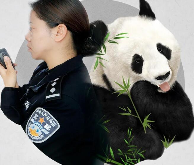 警察“珍稀物种”图鉴，快来找找你是哪一种？